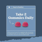 Extra Strength Zinc Gummies for Adults - Chewable Zinc Citrate 50mg Immunity Gummies for Adults - Kosher Halal Gluten and Gelatin Free Non-GMO Nut Free Great Tasting Zinc Gummies Adult Formula