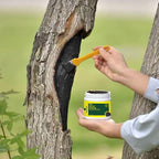 Tree Pruning Sealer with Brushes/Gloves, 500G Tree Wound Dressing Ready-to-Use Tree Protective Seal for Trees, Shrubs, Roses