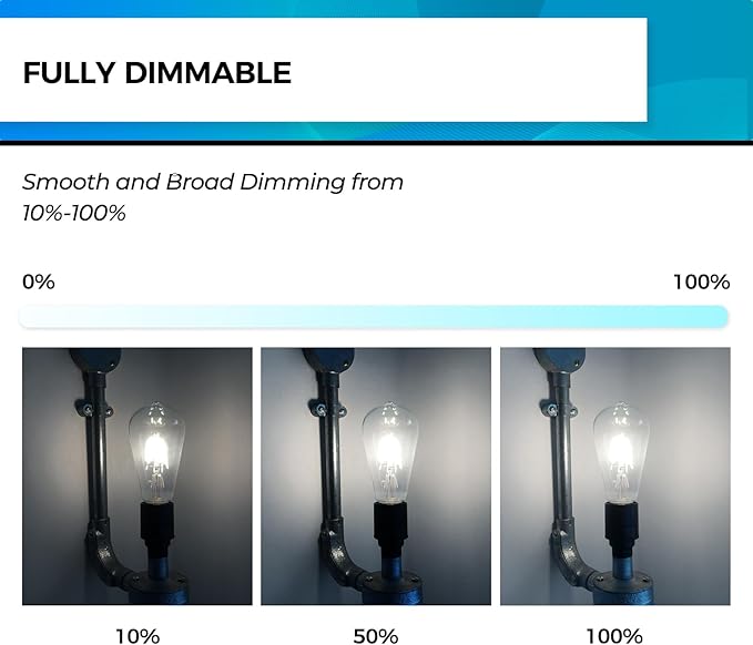 Hizashi Vintage LED Light Bulb Dimmable, 6W Equivalent 60W, E26 Base Led Edison Bulbs, 5000k Daylight, 700LM, High CRI 95+ Eye Protection, Clear Glass, Pack of 18