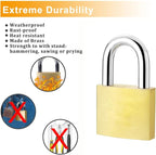 Solid Brass Same Keyed Padlock keyed Alike Locks of 12 Pack, Solid Lock with (25mm) Wide Lock Body, Keyed Padlocks for Toolbox, Luggage,School lockers, Backpacks