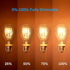 Warm Edison Light Bulbs, 60 Watt A19 Vintage Incandescent Light Bulbs, Dimmable Yellow Old Fashioned Amber Light Bulbs, 2100K Warm White, E26 Base, 6 Pack