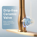 GIMILI Gold Kitchen Faucet with LED Single Handle Kitchen Sink Faucet with Pull Down Sprayer Commercial Double-Headed Stainless Steel Kitchen Faucets Sink with Deck Plate