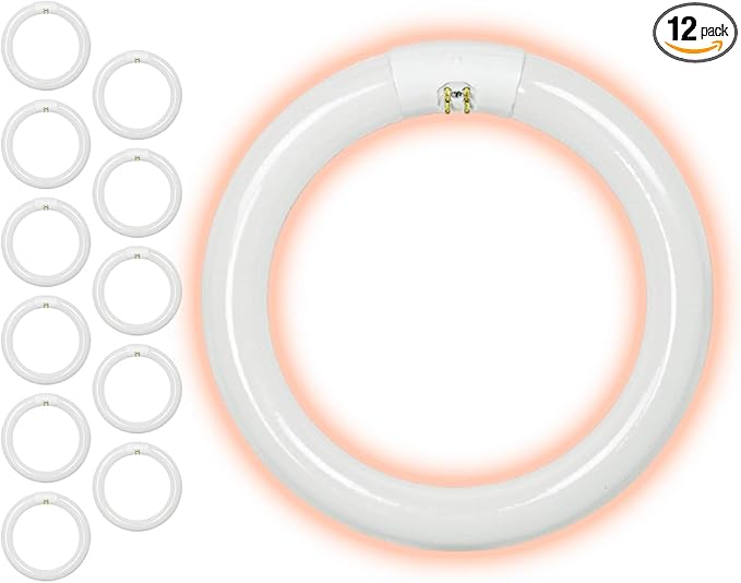 GoodBulb 22-Watt 8 Inch T9 Fluorescent Circline Light Bulb | 4100K Cool White Color | G10q Base | High Output 1393 Lumens | 10000 Life Hours 80 CRI | Pack of 12 Bulbs