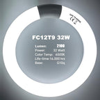 FC8T9 22W and FC12T9 32W Set Daylight, 8 inch T9 22 Watts Circular Light Bulbs, 12 inch 32 Watts Circline Fluorescent Bulb CRI 80, 6500K 3350 Lumen G10q