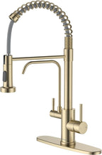 APPASO Gold Kitchen Faucet with Water Filter, Brushed Gold Kitchen Sink Faucet, 3 in 1 Kitchen Faucet (Without Water Filtration Device)