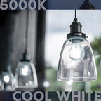 LUXRITE Vintage A19 LED Light Bulbs 60W Equivalent, 5000K Bright White Dimmable, 800 Lumens, Standard LED Edison Bulb 8W, UL Listed, E26 Base (4 Pack)