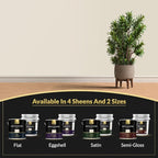 EVOLVE Signature Paint & Primer: Luxury Paint & Primer for Indoor & Outdoor Surfaces, Minimal Odor, Satin Sheen (Canvas White, 5 Gallon)