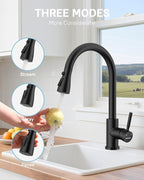 WEWE Kitchen Faucets with Pull Down Sprayer, Stainless Steel Single Handle 1 Hole for Family Kitchen Commercial Camper Laundry Rv Bar, Matte Black