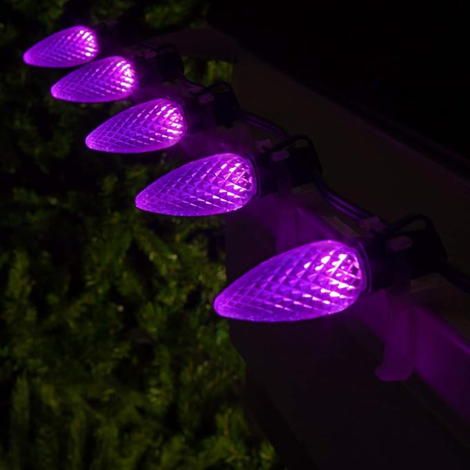 Wintergreen Lighting OptiCore C9 LED Christmas Light Bulbs - Replacement LED Christmas Lights Heavy Duty Premium Outdoor Christmas Lights, E17 Base (Box of 25) (Purple Faceted)