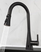 Hibbent Pull Down Kitchen Faucet Head Replacement, 3-Function NSF/ANSI/CAN 61 & CUPC Certified Sink Spray Nozzle, 15 Adapters, Compatible with Moen, Delta, Kohler Faucets, Oil-Rubbed Bronze