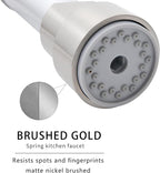 AIMADI Kitchen Faucet with Pull Down Sprayer,Commercial Stainless Steel Pull Down Sprayer Kitchen Faucet Single Hole Single Handle RV Laundry Outdoor Kitchen Sink Faucets