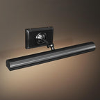 Picture Light for Wall, 18in Brass Hardwired Picture Frame Light, Painting Poster Lighting 2 Light Dimmable Art Display Light Wall Sconce for Gallery Living Bathroom-Included Bulbs(Black)