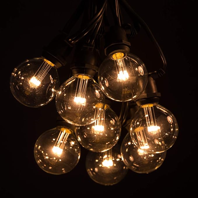 Hometown Evolution, Inc. 25 Foot C9 Commercial LED G50 Globe String Lights with 20 LED G50 Clear 2 Inch .6 Watt Bulbs and Black Wire