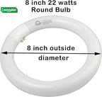 8 inch FC8T9/CW 22W Cool White Circular Fluorescent Light Bulb, Round T9 22 Watt Circline Fluorescent Lamp Bulbs 4100K 1350 Lumens, G10q 4 Pin Base, 2 Pack