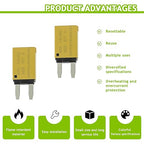 20A DC 12V-14V Auto Reset Circuit Breaker ATM Low Profile T1 Mini Blade Fuses Breakers for Car Trucks Marine Boat RV Solar and More,2 Pack
