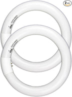Circular Bulb FC8T9/DL, 8 Inch T9 22W Circline Fluorescent Light Bulbs, Replacement Round Fluorescent Lamp Tube, Bright Daylight 6400K 1250 Lumens, G10q 4 Pin Base, 2 Pack