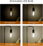 16 PCS Dimmable Vintage LED Edison Bulbs, 6W Equivalent 60 Watt, Natural White 4000K, Antique Flexible Spiral LED Filament Light Bulb, ST58 (ST19), 600 Lumens, E26 Base, Clear Plastic