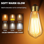HESSION ST64 Edison Bulbs, E26 Base 110V-40W 4-Pack 2700K Vintage Light Bulb, Amber Glass Warm Light Dimmable Decorative Bulbs for Livingroom Kitchen Table Light etc.