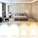 2 Inch LED Downlight, Recessed Lighting Dimmable Ceiling Light, 3W, 2700K Ultra Warm White, CRI80 with LED Driver(35W Halogen Equivalent), 20 Pack