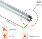 GoodBulb 32-Watt 48-Inch T8 Fluorescent Light Bulb 5700K Daylight White Color Medium Bi-Pin Base 3100 Lumens 88 CRI 24000 Life Hours Instant/Programmed Start Pack of 30
