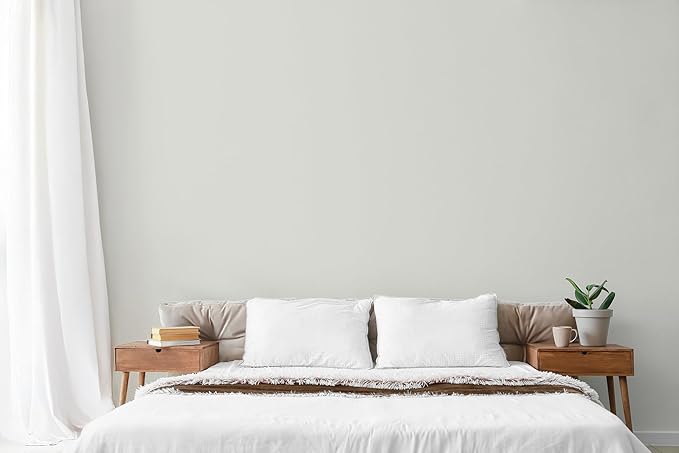 EVOLVE Paint & Primer: Environment-friendly, Low Sheen with One-coat Coverage for Interior & Exterior surfaces (Morning Frost, 5-Gallon)