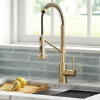 KRAUS Bolden 2-in-1 Commercial Style Pull Down Single Handle Water Filter Kitchen Faucet for Reverse Osmosis or Water Filtration System in Spot-Free Antique Champagne Bronze, KFF-1610SFACB