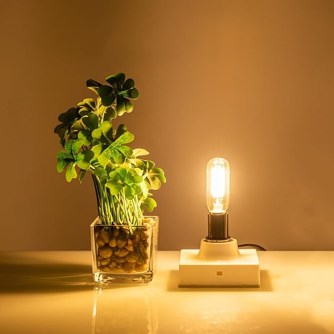 E12 LED Bulb Dimmable 40 Watt Equivalent Warm White 2700K T6 Bulb Type with E12 Base, LED 4W E12 Candelabra Bulb Clear Glass, 6 Pack