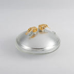 PAR36 LED Landscape Light Bulb, 6W 600 Lumen 36 Watt Halogen Equivalent, Daylight White 6000K, PAR36 LED 12V DC/AC for Trator Light,Off-Road Vehicles,Landscape Light, 4 Pack