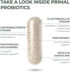 Primal Harvest PREbiotics and PRObiotics for Women & Men, 30 Oral Capsules for Gut Health, 12 Dynamic Strains