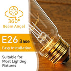 Jslinter Incandescent Light Bulbs 60 Watt Dimmable Bulbs 4 Pack, 2200K ST58 Soft Light Bulbs Warm Light, 110v E26 Eecorative Light Bulb, Vintage 230LM Edison Bulb for Bedrooms, Living Rooms