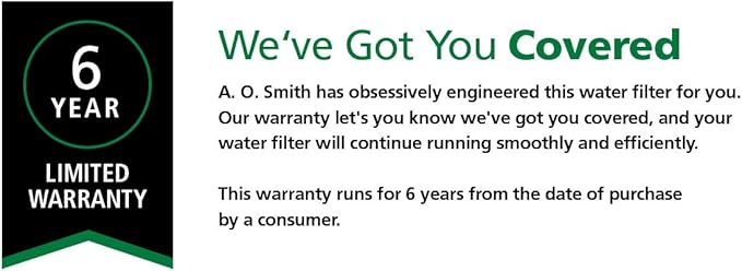 AO Smith Whole House Salt Free Descaler System - Works with City & Well Water Filters - 6yr, 600,000 Gl - Water Softener Alternative for Home - AO-WH-DSCLR