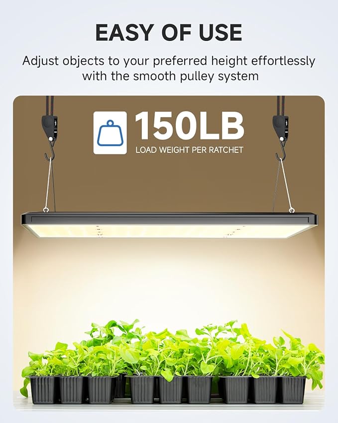 Fondwell 1/4" Rope Tie Downs Ratchet: 4 Pack of Kayak Storage Straps Heavy Duty - Ratcheting Cargo Straps for Various Hanging and Strapping