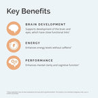 BRAINMD Dr Amen Iron - 30 Capsules - Supports Energy Production, Cognitive Function & Gene Regulation - Gentle & Easily Absorbed - Gluten Free - 30 Servings