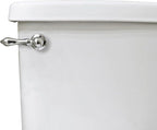 Danco 12059 Toilet Tank Lever, Chrome