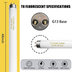 25 Pack F32T8/865 32W 48 Inch T8 Fluorescent Tube Light Bulb 6500K Daylight, 4ft Fluorescent Bulb 2500 Lumens, F32T8/865/DX G13 Medium Bi-Pin Base