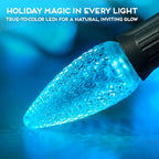 HLO Lighting Set of 500 Teal C9 Faceted LED Christmas Light Bulbs for Indoor & Outdoor Use | Durable Replacement Bulbs