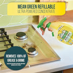 Mean Green Refillable Ultra Powered CONCENTRATE Multi Purpose Cleaner, Citrus & Green Tea, 14.3 fl oz 2-Pack