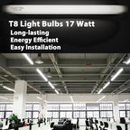 24 Inch F17T8/865 Fluorescent Bulb Daylight 6500K, 17 Watt T8 Light Bulb, 2 Foot Fluorescent Light Bulb, 1460 lumens, G13 Medium Bi-Pin Cap 8 Pack