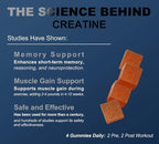120 Creatine Monohydrate Gummies for Men & Women, Vegan-Friendly, Sugar-Free, & Tasty Chewables - Instantized Creatine Gummies (120 Count (Pack of 1), Orange)