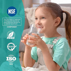 SimPure Whole House Water Filter, 10" x 4.5" BB Activated Carbon Block Filter Replacement Cartridge Coconut CTO Filter Compatible with GE FXHTC, GXWH40L, GXWH35F, GNWH38S, WHKF-GD25BB (4 Pack)