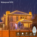 C7 Christmas Led Light Bulb, C7 Replacement Night Light Bulb, 0.6W Equivalent 7W Incandescent Bulb, Warm White 2200K, E12 Standard Base, Clear Plastic, 25Pack