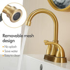 Bathroom Sink Faucet FRANSITON 4 Inch 2 Handle Lead-Free Brushed Grey Bath Sink Faucet with Pop-up Drain Stopper and Supply Hoses