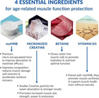 BioTrust Ageless Muscle Builder - Creatine HMB Powder with Vitamin D3 & Betaine - Build & Preserve Naturally Declining Muscle Mass & Strength - Fruit Punch, 60 Servings