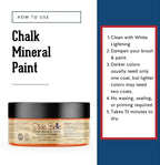 Dixie Belle Paint Company Chalk Finish Furniture Paint - Florida Orange (4oz) - Matte Bright Orange Chic Chalk Mineral DIY Furniture Paint