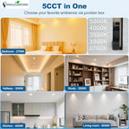 DLLT LED Recessed Ceiling Light: 6 Pack 3 Inch Gold Recessed Lighting