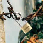 SEPOX® 4-Pcs Pack Heavy-Duty Solid Brass Padlocks 40mm 1-9/16" Width, 2-5/8" Extra Long Shackle, with Same Keys 6Pcs, Weather Proof Outdoor Lock & Key, Keyed Alike for Gates, Shed, Fence, Gym Locker