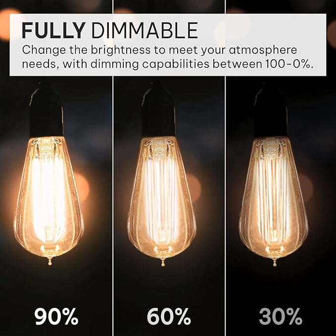 HUDSON BULB CO. Vintage Edison Incandescent 60W 12-Pack Light Bulbs - Antique ST64 Dimmable 2100K Warm Decorative Squirrel Filament - E26/E27 Base for Indoor Outdoor - Lightbulb - Outdoor Light