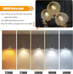 16 Pack LED Edison Bulbs 40w Equivalent, 4 Watt LED Filament Bulb, 3000K Warm White ST19 Light Bulb, 450lm E26 Vintage Bulbs for Ceiling Light Fixture, Not Dimmable