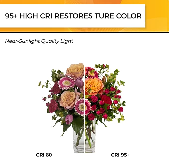 Hizashi Vintage Edison Bulb Dimmable, 6W Equivalent 60W, E26 Base LED Light Bulb, 2700k Warm White, 700LM, High CRI 95+ Eye Protection, Clear Glass, Pack of 24