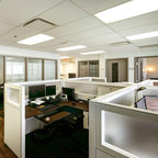 LUXRITE 30-Pack F17T8/835 17W 24 Inch T8 Fluorescent Tube Light Bulb, 3500K Natural White, 1350 Lumens, G13 Medium Bi-Pin Base, LR20751